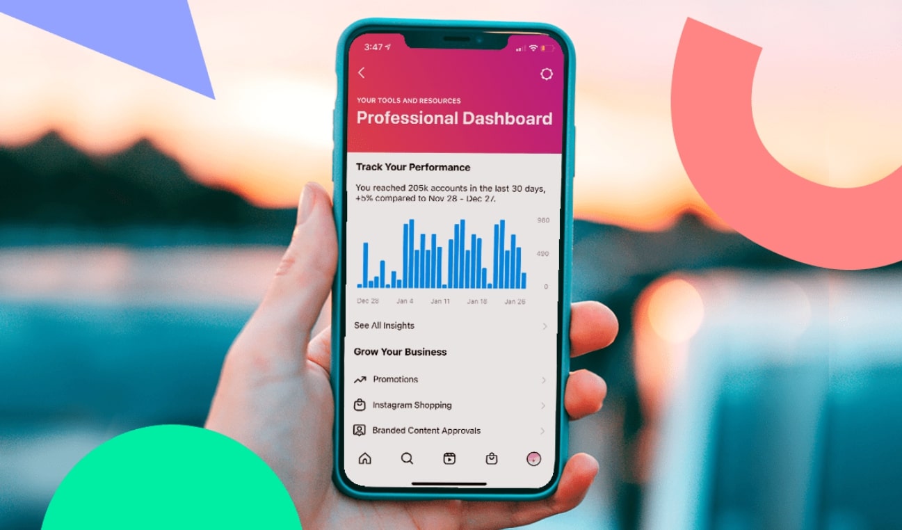 A hand holding a phone with Instagram's professional user-facing dashboard open